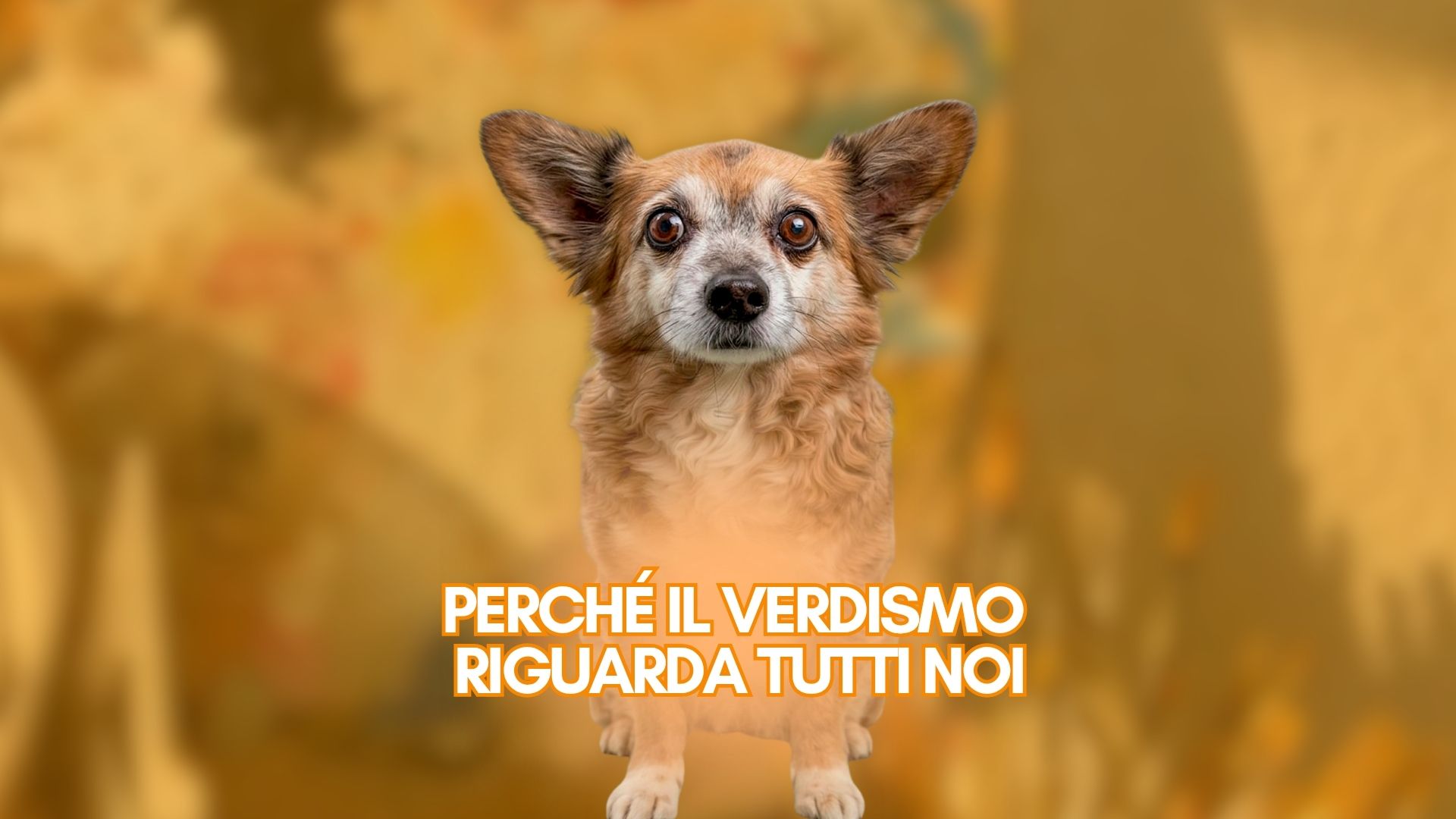 Il Verdismo non parla solo di un cane, parla della nostra capacità di osservare, di fermarci un attimo in mezzo al rumore quotidiano e di accorgerci di ciò che, di solito, passa sullo sfondo, parla del modo in cui scegliamo di guardare il mondo, di quanto siamo disposti a mettere in discussione le nostre abitudini, i nostri automatismi, il nostro sguardo “addomesticato”.