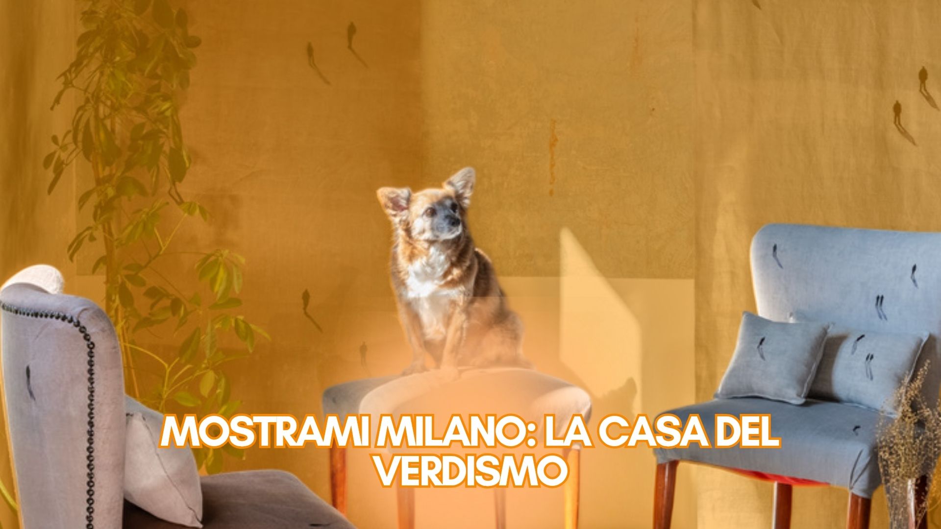 In questo percorso, il Verdismo è l’ultima tappa, audace e naturale al tempo stesso, il progetto sceglie di trasformare la galleria d’arte in un luogo di riflessione condivisa sulla relazione uomo - animale, chiedendo al pubblico di fermarsi, osservare e riconsiderare il proprio punto di vista. Le opere diventano così inneschi: aiutano a mettere a fuoco emozioni, contraddizioni, responsabilità, e fanno emergere quanto il nostro legame con gli altri esseri viventi sia fragile, complesso e urgente.