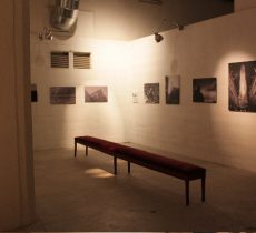 MostraMi Pitti (6) MostraMi Pitti (6)