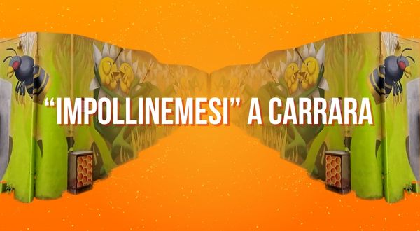 Murales green in Italia e agenda 2030 - Impollinemesi