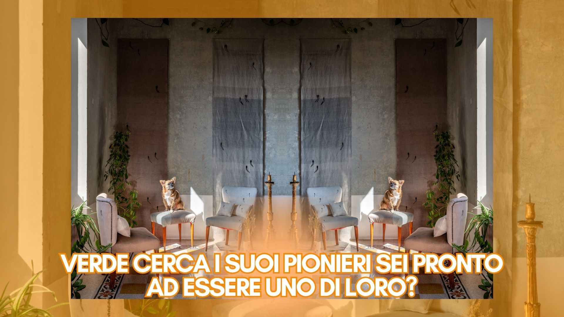 Il Verdismo non cerca esecutori, ma complici, siamo aperti a pittori, designer, scultori, fotografi, videoartist e creativi digitali che abbiano voglia di esplorare linguaggi innovativi. Non ci interessa il ritratto "da salotto", vogliamo raccontare come gli animali possano insegnarci a vivere e rispettare il Pianeta.