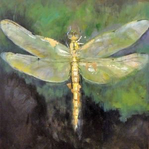 Dragonfly