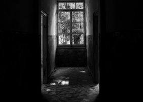 Fotografia contemporanea TossicoIndipendente_SaraCanonici_01-20