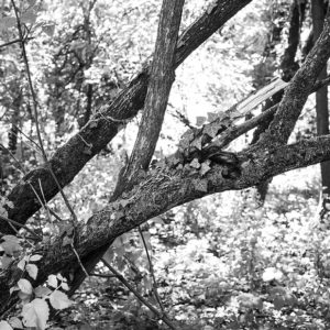 Fotografia di Emma Marino 4