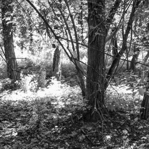 Fotografia di Emma Marino 3