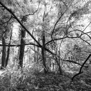 Fotografia di Emma Marino 2