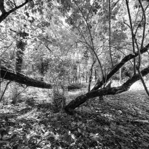 Fotografia di Emma Marino 5