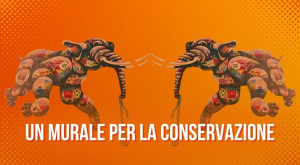 Murales a tema animali - Elefante a Torino