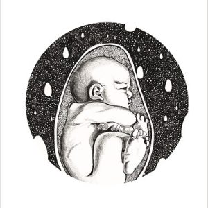 Illustrazione Stefano Lo Voi