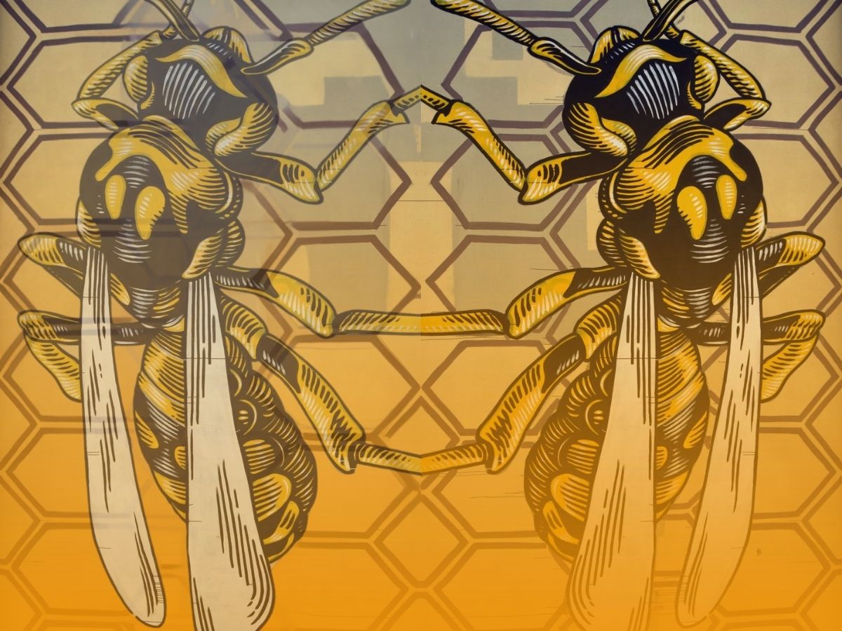 Street art roma urban art roma street art garbatella san lorenzo street art italia murales quadraro arte urbana nido di vespe