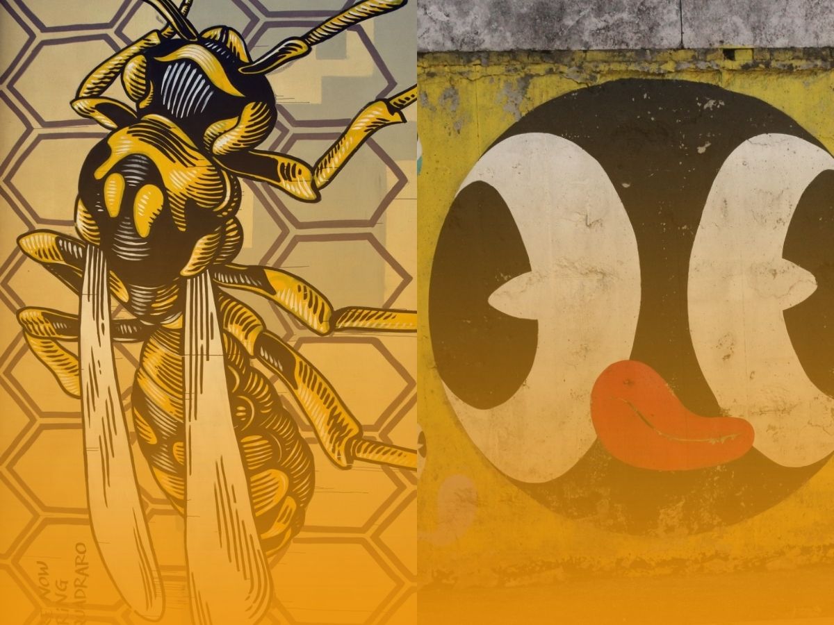 Street art roma urban art roma street art garbatella san lorenzo street art italia murales quadraro arte urbana progetto MURO