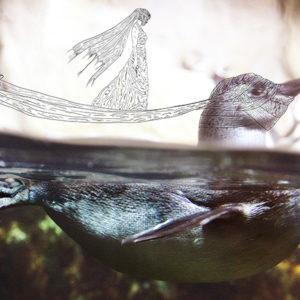 Fotografia di Golsa Golchini 2