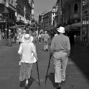 Fotografia - Alessandra Vittoria Zanchetta 5