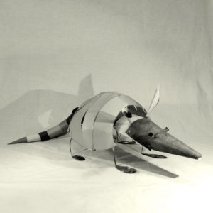 Fotografia Angelica Gerosa 3