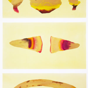 Pittura - Isabella Nazzarri 1