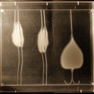 Scultura - Flavia Gaglini 3