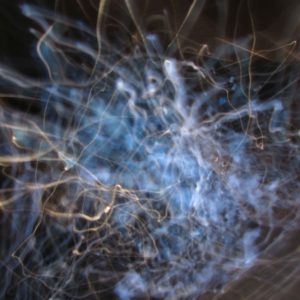 Fotografia Giuliano Verne 1