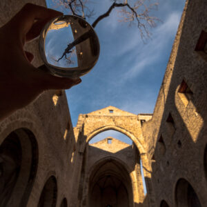 Riflesso dell'albero