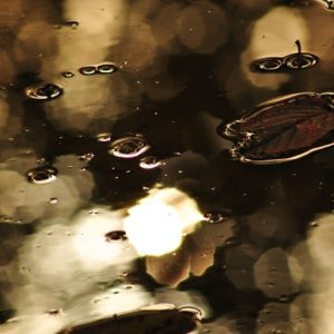 Fotografia Caterina Farina 5