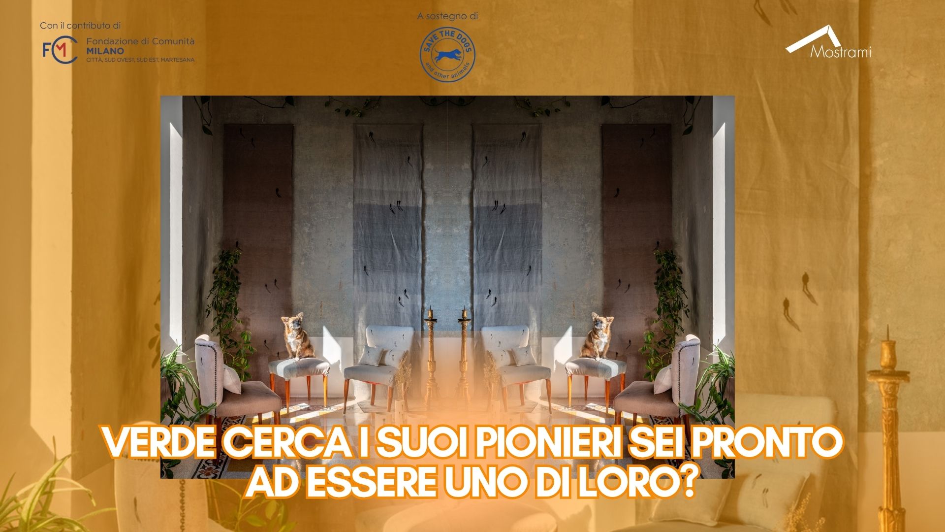 Il Verdismo non cerca esecutori, ma complici, siamo aperti a pittori, designer, scultori, fotografi, videoartist e creativi digitali che abbiano voglia di esplorare linguaggi innovativi. Non ci interessa il ritratto "da salotto", vogliamo raccontare come gli animali possano insegnarci a vivere e rispettare il Pianeta.