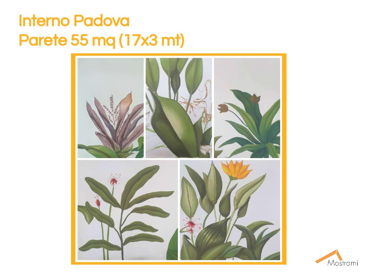 Mostrami-Presentazione-street-art-murales-su-commissione-2020-2 page-0026