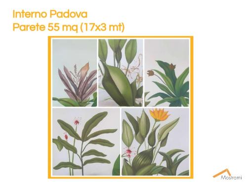 Mostrami-Presentazione-street-art-murales-su-commissione-2020-2 page-0026