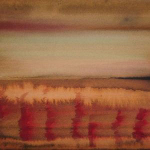 Pittura - Angelica De Rosa 4