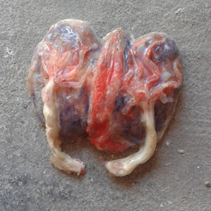 Scultura - Ottavia Paraboschi 2