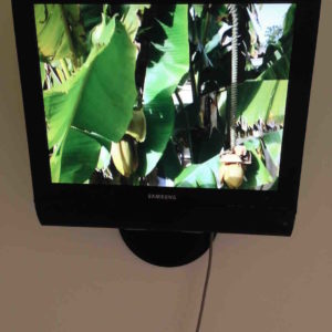 Scultura - Liviana Baldini 5