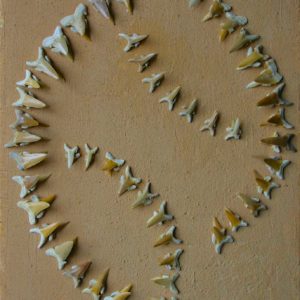 Pittura - Simone Tumiati 4