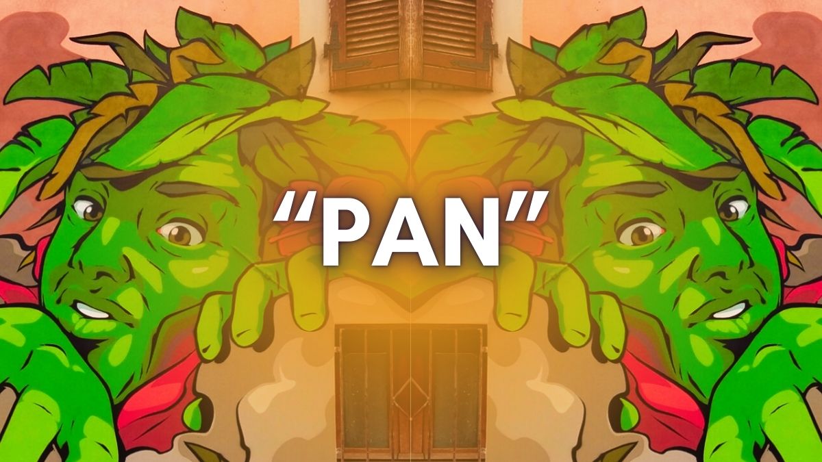 street art e murales a Bergamo graffiti arte contemporanea Lombardia murale Pan