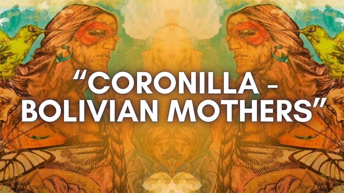 street art e murales a Bergamo graffiti arte contemporanea Lombardia murale coronilla - bolivian mothers